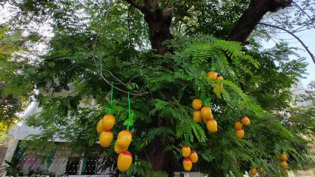 Artificial plastic mango fruits tied on green tree for marketing near fruit store Full HD.