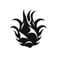 Stylized Dragonfruit Illustration - Unique Monochrome Vector Art