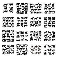 Fototapeta premium cow Farms icon set logo illustration vector template Design black