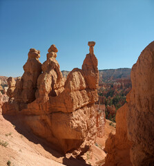 Fototapeta premium Thor's Hammer hoodoo famous rock formation in Bryce canyon on Wall Street Trail