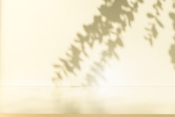 Fototapeta premium Wall interior autumn background, studio, and backdrops show products. with shadow color beige background for text insertion and presentation of product 