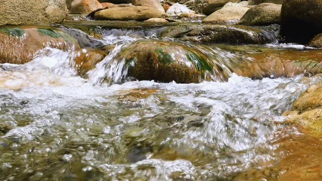 closeup of strong stream in deep valley.gurgling pour water,Charming Valley,textured rock form spectacular scenic scene view.High quality video.Shakadeng Trail,Taroko
,Taiwan.Eye level shot.real time