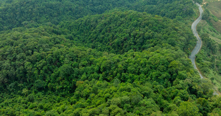 aerial view of dark green forest Abundant natural ecosystems of rainforest. Concept of nature forest preservation and reforestation.	