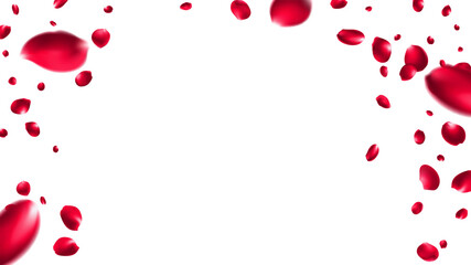 Valentine day background with red rose petals. Vector illustration. Celebration banner design with rose flying confetti, love day Singapore, summer valentine brazil, Mesh Gradient was used