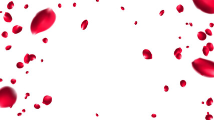 Valentine day background with red rose petals. Vector illustration. Celebration banner design with rose flying confetti, love day Singapore, summer valentine brazil, Mesh Gradient was used