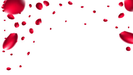 Happy Valentine's day love day Singapore and  summer valentine brazil background. Luxury flower design with rose flower texture illustration . Mesh Gradient was used