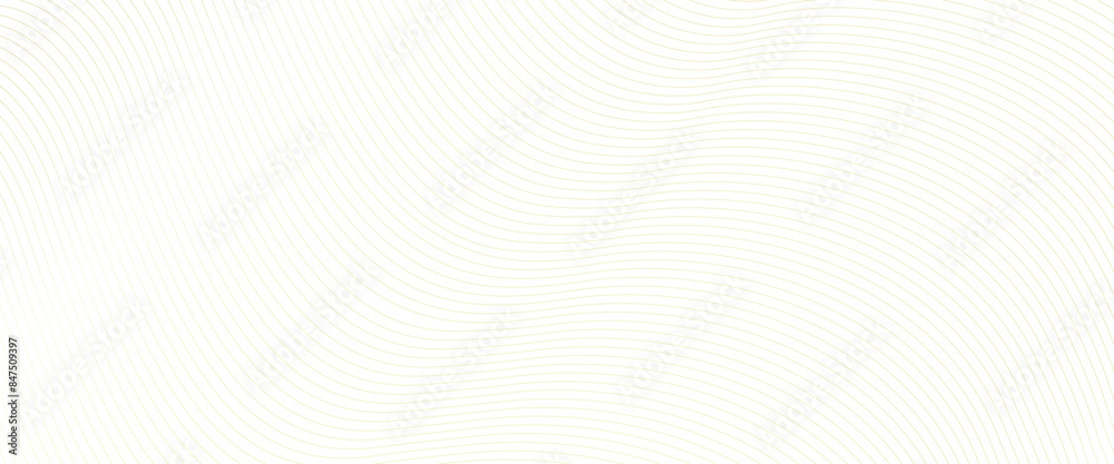 Poster Vector abstract Transparent wavy line on line gold pattern, line pattern background.