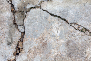 cracks from the cracked area