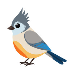 illustration of a titmouse bird on white