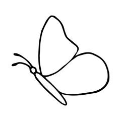 Doodle butterfly on isolated background.Insect vector element.