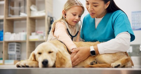 Vet, woman and stethoscope for dog with child, care or listen for health, cardiology and breathing with wellness. Girl, doctor and golden retriever with assessment, exam and lungs at animal hospital