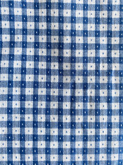 Intricate blue and white checkered cotton fabric with tiny dot woven