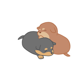 黒と茶色の柴犬の子犬