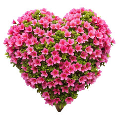 Fototapeta premium azalea flowers in heart shape isolated on transparent background