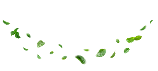 A cluster of vibrant green mint leaves floating gracefully in mid-air against a clear, transparent background. The leaves are fresh