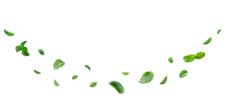 A cluster of vibrant green mint leaves floating gracefully in mid-air against a clear, transparent background. The leaves are fresh