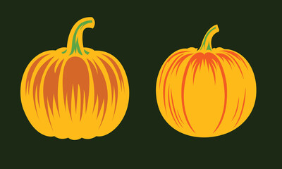 Pumpkin hand drawn vector pumpkin vector design