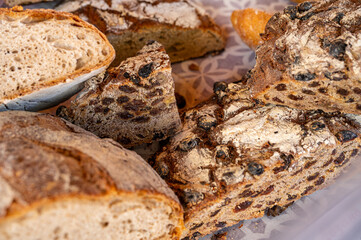 Mallorca, Landschaft, Mittelmeer, Pflanzen, Natur, Blumen, Tiere, Markt, Reisen, Travel, Europa, Mediterran