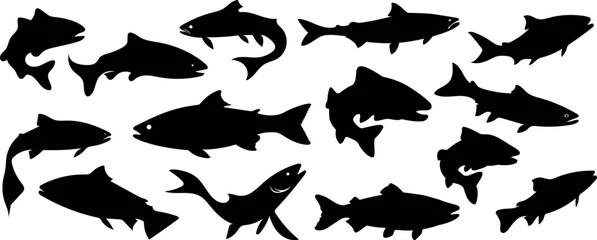 Set of salmon silhouettes in line art style. Hand-drawn fish vector for colouring book. Black and white sketch. silhouettes of animals