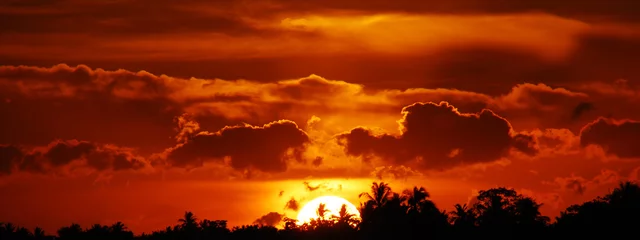 Fotobehang Diep Rood Banner Golden sky sunrise dramatic beautiful landscape view. Dawn sky gold dusk time cloudscape with sunlight. Panorama Dramatic sunset scenic landscape. Beautiful landscape nature with copy space  © aFotostock