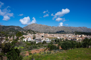 Mallorca, Landschaft, Mittelmeer, Pflanzen, Natur, Blumen, Tiere, Markt, Reisen, Travel, Europa,...