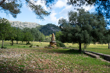 Mallorca, Landschaft, Mittelmeer, Pflanzen, Natur, Blumen, Tiere, Markt, Reisen, Travel, Europa,...