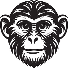 A cute monkey looks good