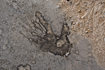 Strange hand print or bird with long feathers on cement surface an example of Periodolia, the...