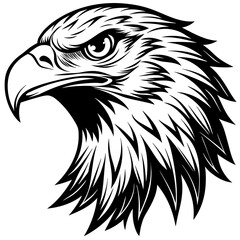 eagle head black and white vector silhouette illustration