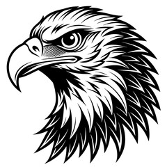 eagle head black and white vector silhouette illustration
