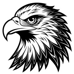 eagle head black and white vector silhouette illustration