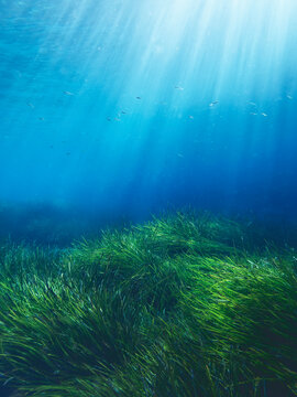 underwater world angle