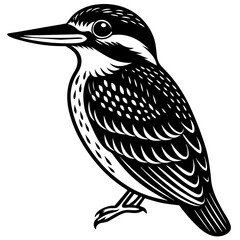 kingfisher silhouette illustration
