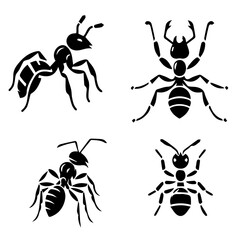Ant silhouette set on white background