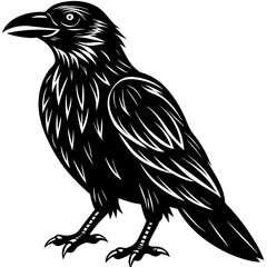 raven silhouette vector illustration