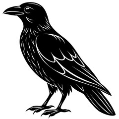 raven silhouette vector illustration
