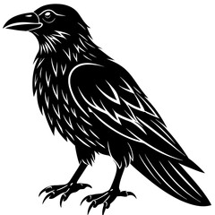 raven silhouette vector illustration