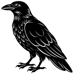 raven silhouette vector illustration