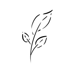 black and white design