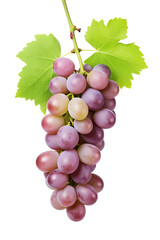 Fototapeta premium unpicked grapes, plain white background.