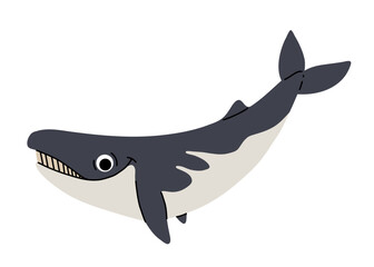 Vector cartoon illustrations of omura whale on a white background. Flat cute icon of whale. Underwater world, ocean, underwater inhabitants.
