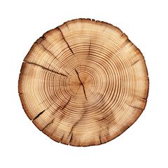 wood tree cut light wood isolated on white