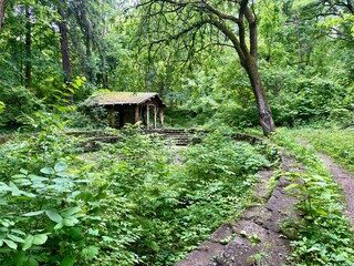 Naklejka premium Overgrown stone structure in lush forest, Cincinnati, Ohio