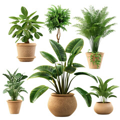Fototapeta premium Tropical Houseplants Collection - 3D Rendered Green Indoor Plants in Pots