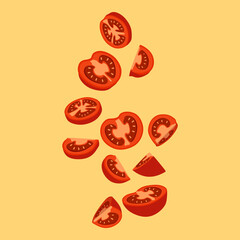 Tomato Slice Illustration