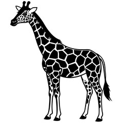 Obraz premium giraffe icon vector silhouette illustration