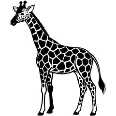 Obraz premium giraffe icon vector silhouette illustration