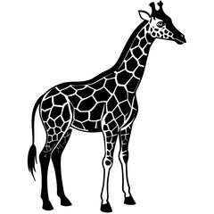 Fototapeta premium giraffe icon vector silhouette illustration