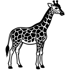 Obraz premium giraffe icon vector silhouette illustration