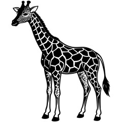 Naklejka premium giraffe icon vector silhouette illustration